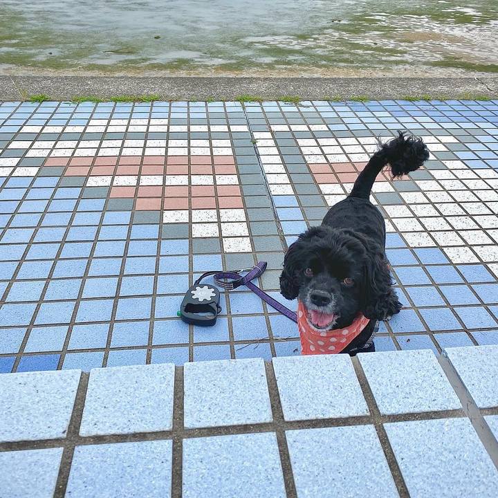 Fe6e44fe 61ac 4d56 bf85 e24effd8f780 1624800491298