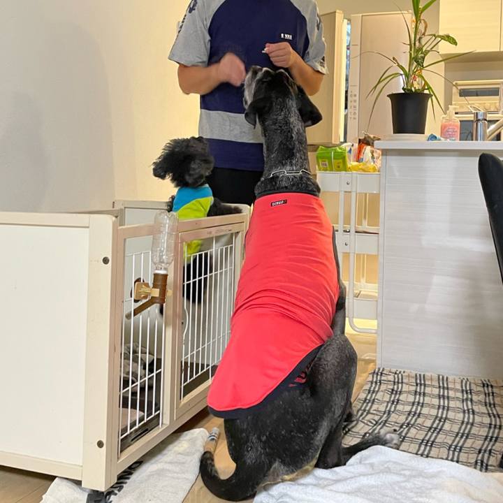 Fe6e73d0 539d 43f0 aef5 474dbf0410c3 1659648368321