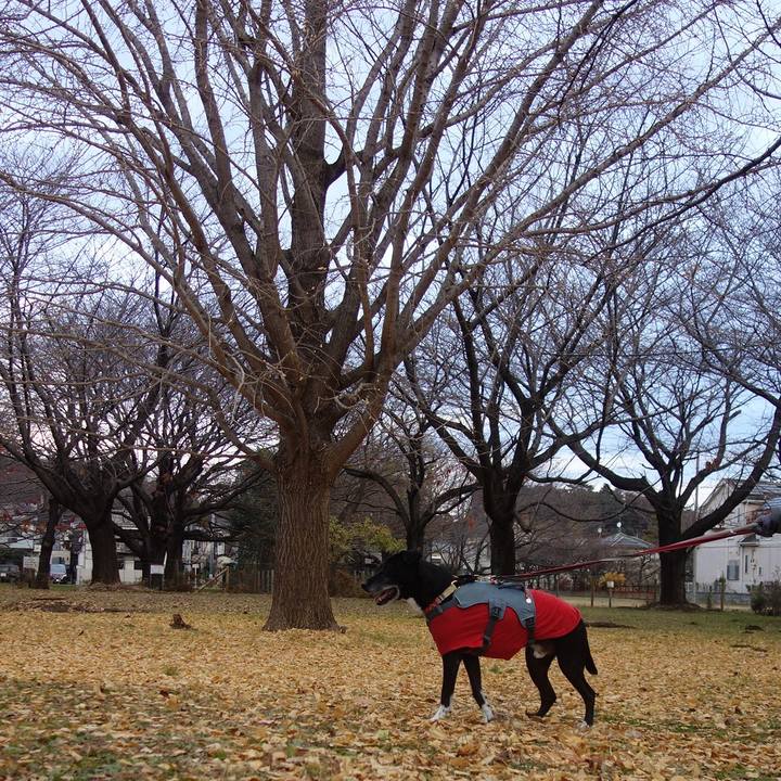 Fe6e8824 a6ae 43ae af94 38ffce440301 1734567564450