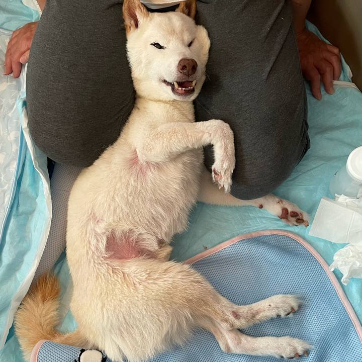 Fe6f09be 3c7d 4d67 80bd 7acb26b096cf 1665791572690