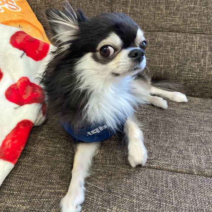 Fe6f3a8c 019b 4f9b a798 a0feca969492 1703933573940