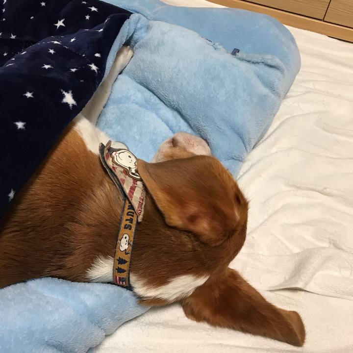 Fe6f3b61 948c 495d b1b2 cbad98073dbf 1551010590332