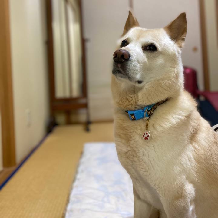 Fe6f486b bf23 4825 a145 872c3c3445e2 1582202430436