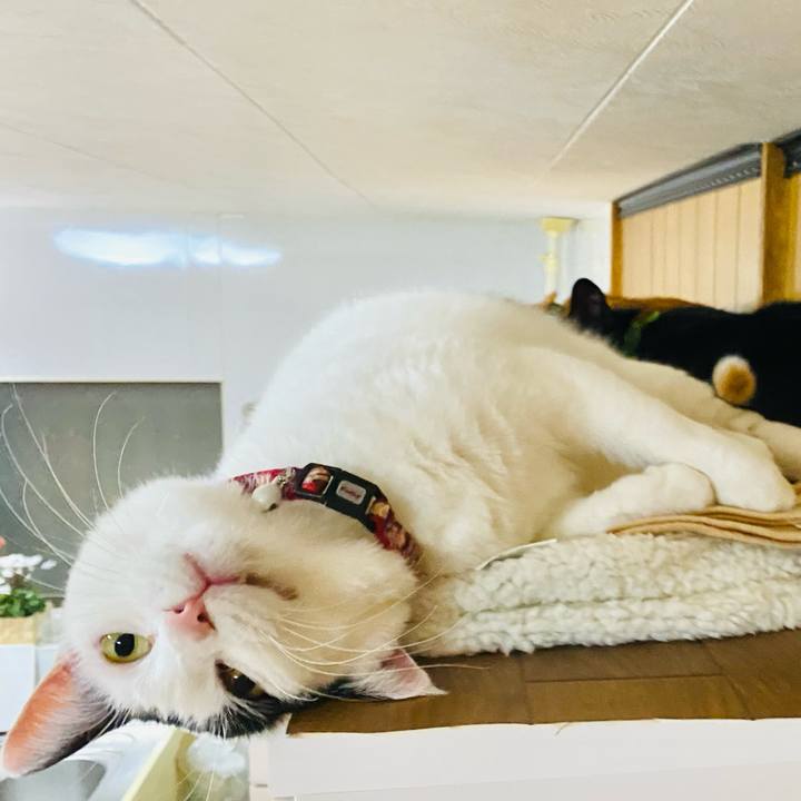 Fe6fa1aa cb78 4baa 95d4 3e013ec1646d 1670854467257