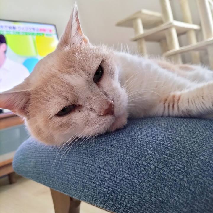 Fe6fafbd 8fb5 4397 a0cf d66277697685 1693433878286