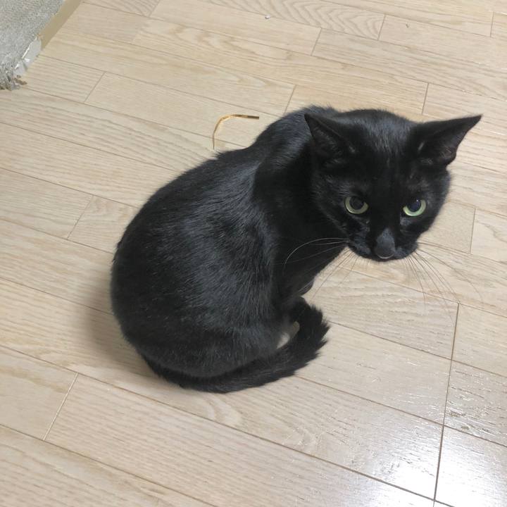 Fe6feebc 5728 47c5 a38a d06608cdf7f2 1605362540911