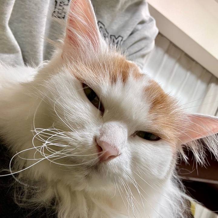 Fe6fefb4 50a6 4582 904d 778c1598bd75 1775280630708