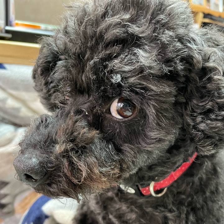 Fe70399f 59d9 495b 9adc f4e082773ef6 1645233317639