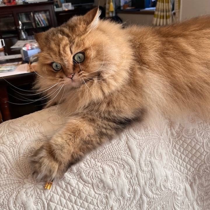 Fe706ed7 c29f 4c05 894b f8a6da5271c4 1674905215855