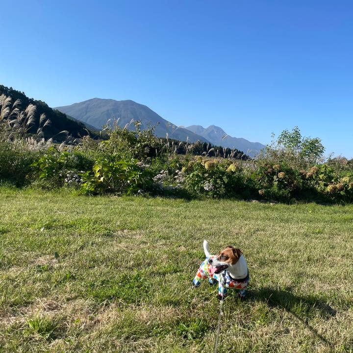 Fe70a851 3a85 419f 897f 2d5b0c920b18 1633248955688