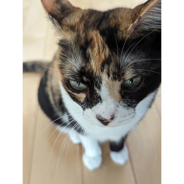 Fe70aa5c cd14 4b95 8621 58f9c183d2fc 1695612298377