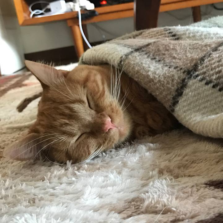 Fe70ad3a 253f 4a2a 80db 64fb78cac8a7 1520922535777