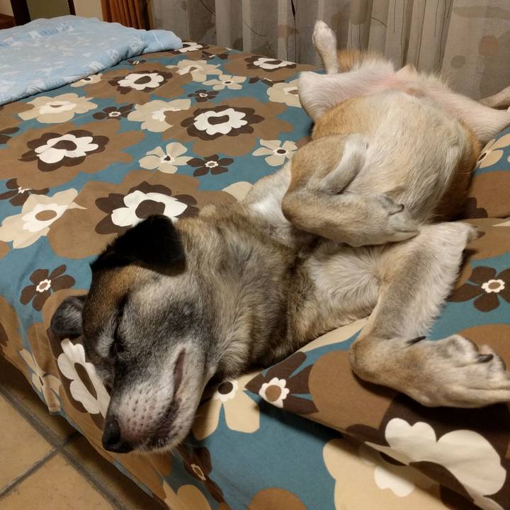 Fe70f735 f19e 4848 9bc5 e511c2dfbcc0 1690848069343