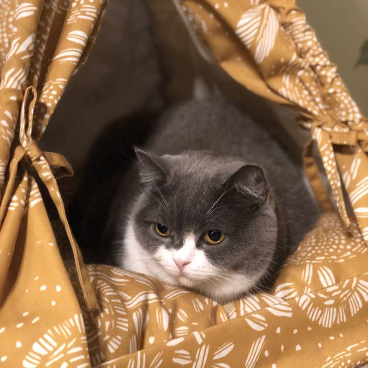 Fe713f6f 615f 447b 9435 091005d0e78b 1604009976318