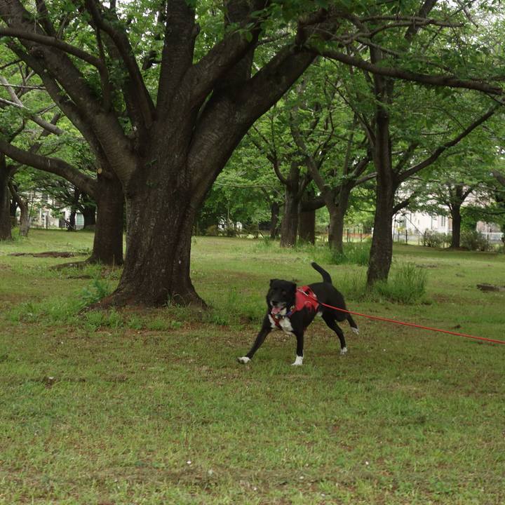 Fe7157d0 8021 404a 988b 8b19e2a5db24 1682126688212