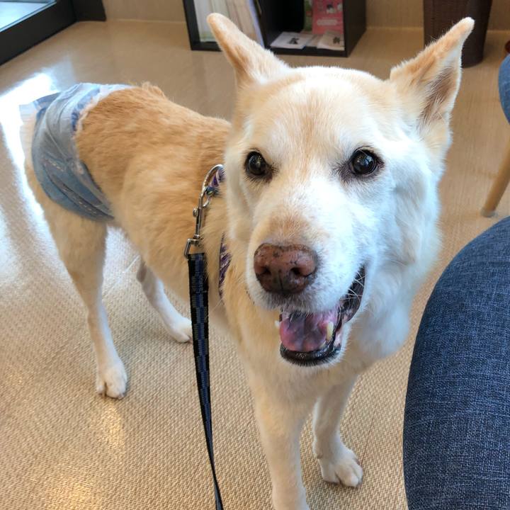 Fe71645a 8689 4f3d 9434 c72efc82d739 1650887733746