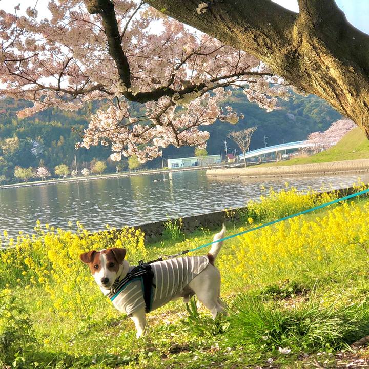 Fe71c7d4 4160 43aa aac2 e327ae9cd712 1649673370056