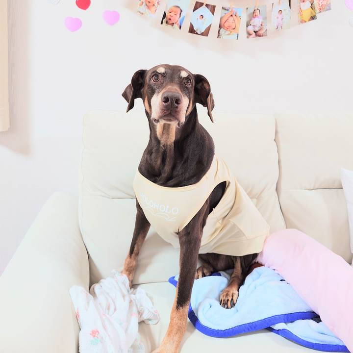 Fe71ceee 11f1 4f6c b390 edaabefa0055 1764126293205