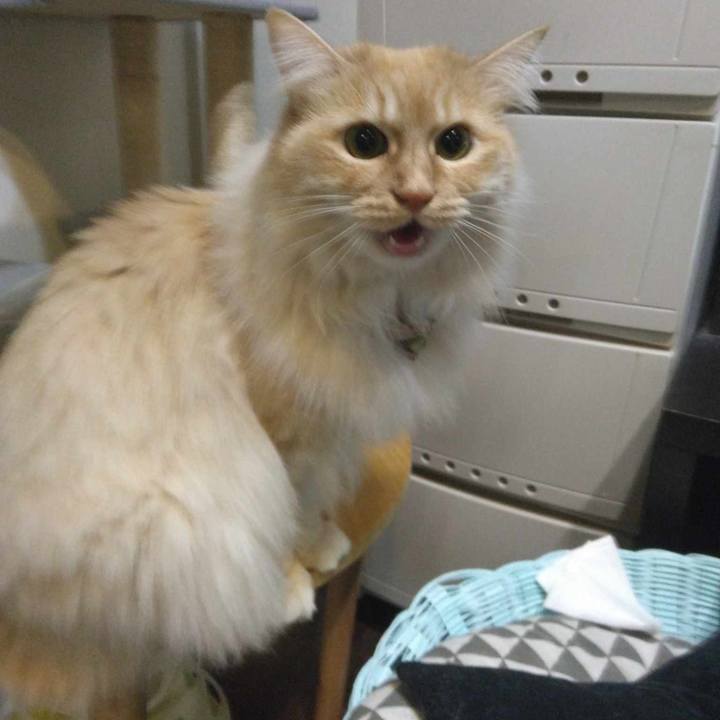 Fe71d7e2 7764 44d7 b807 c9e70e53c7b1 1709215883090