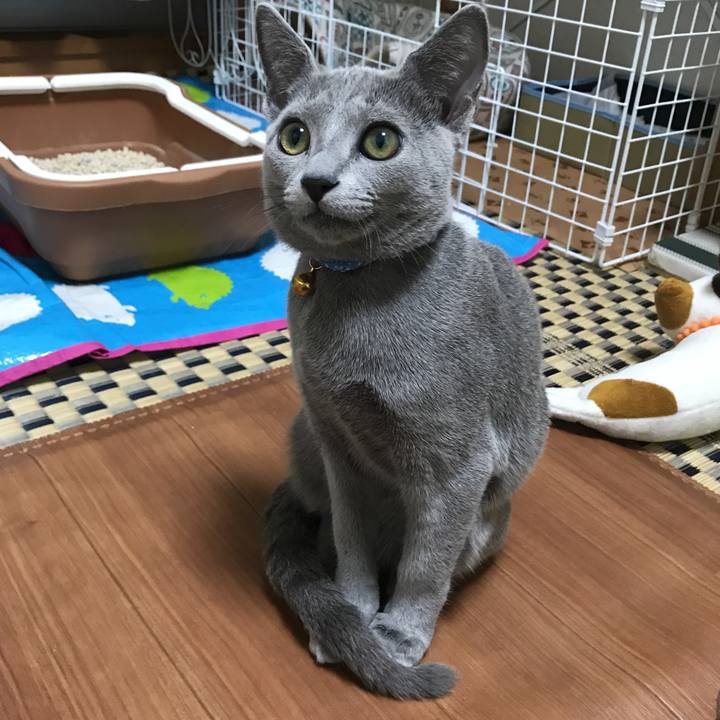 Fe721ade 46a4 4236 b15b 8ca80024e6c3 1508151421547