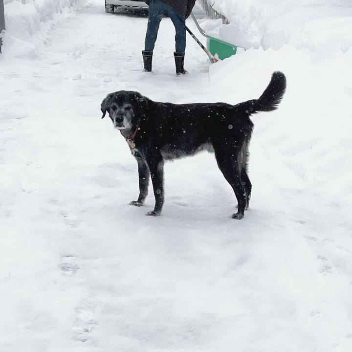 Fe724e03 9cf8 49ff b86c a056fef2e28f 1769820428169