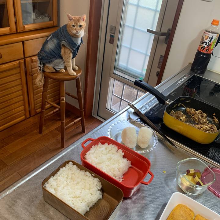 Fe72aecc 82bf 4cc0 ae57 d38049a8ad9b 1656365440378