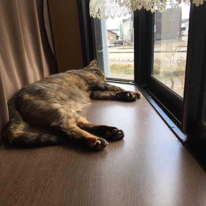 Fe72b8bc 2460 44b2 b141 0eeb4b634c1c 1584511585052