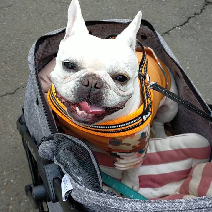 Fe72e294 b3df 4763 92d8 67ddd9b176ed 1666651097141