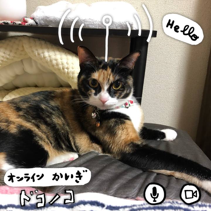 Fe72ebff b589 4412 886c c815c3c0f721 1591183179904