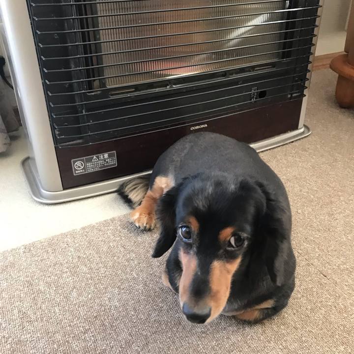 Fe734762 0e3b 4d13 ba82 2de8ea143dfe 1540682801750