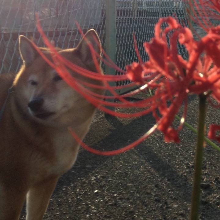 Fe735595 42e5 447d aced e043780fd716 1537605028198