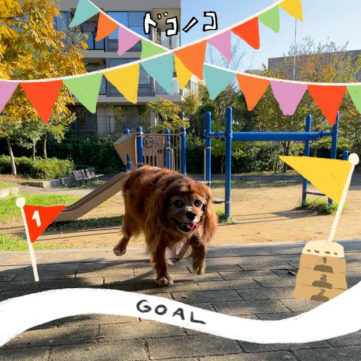 Fe738975 bc07 4c0b bf50 c88859c1ed36 1729117186187