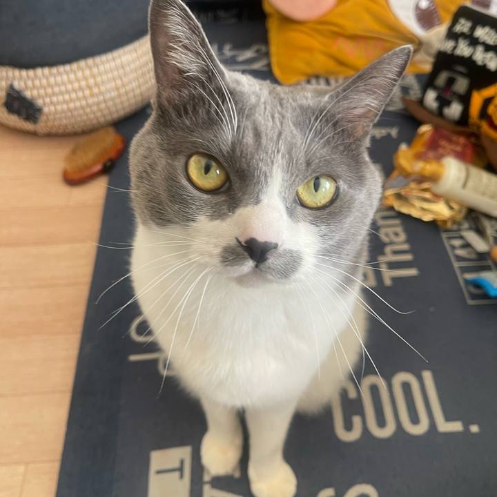 Fe73a82f 3d52 4df9 a6bf bdbfa0950e65 1737857177565