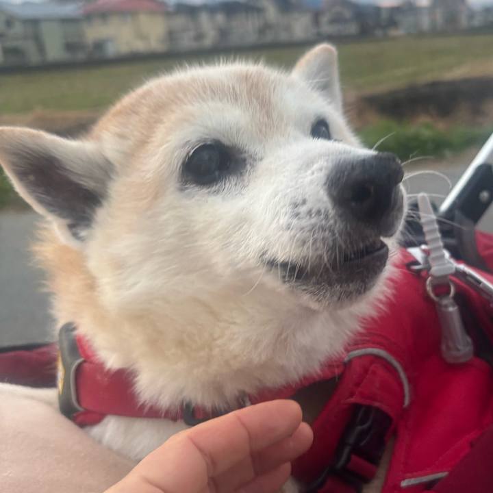 Fe741892 d969 46a0 96d6 51c89a6f34e9 1776244277473