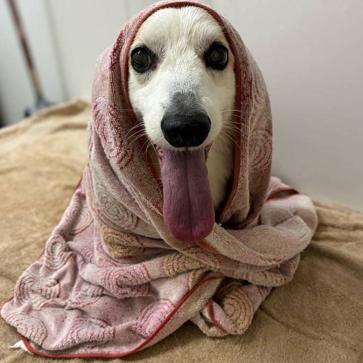 Fe744bd9 32c2 4169 a357 6a7f982bcc1a 1776243862129