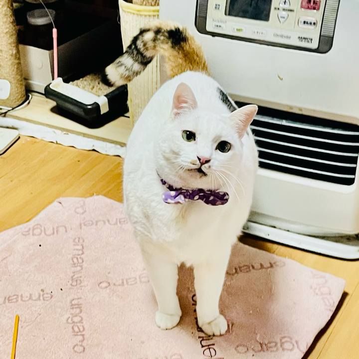 Fe749697 a3d0 449d b34a 11c95cdcb3c0 1770276344213