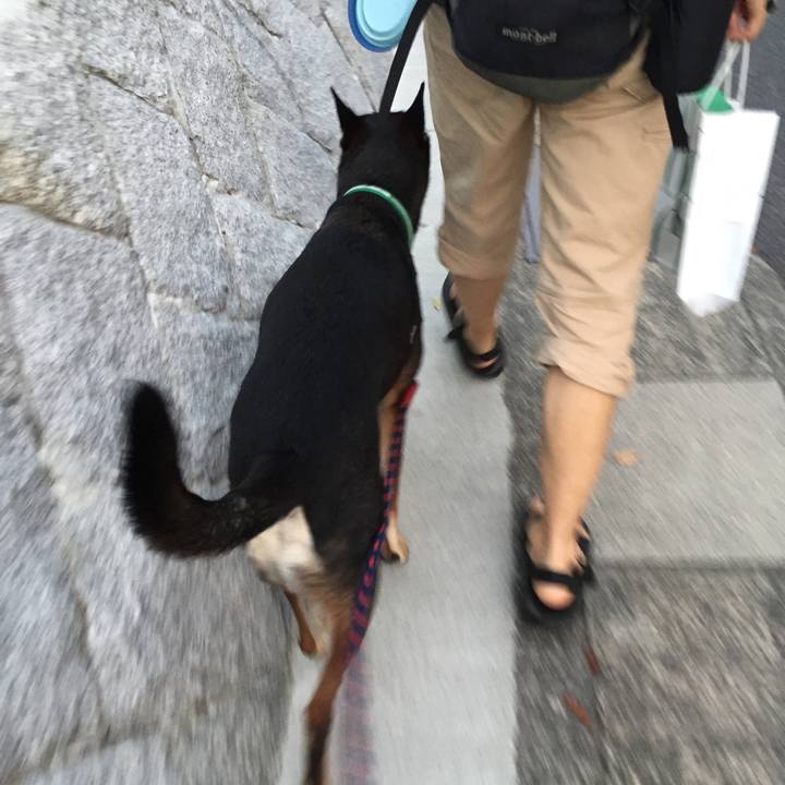 Fe7496b9 0248 4b73 97d5 d6b5cb32816a 1533601920197