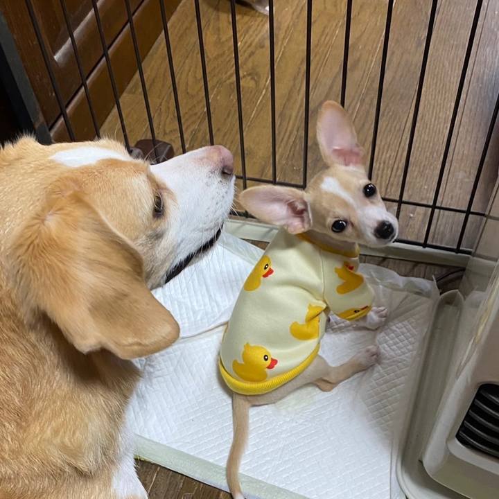 Fe749a70 47fc 4077 88aa 9141a64271c6 1662272933665