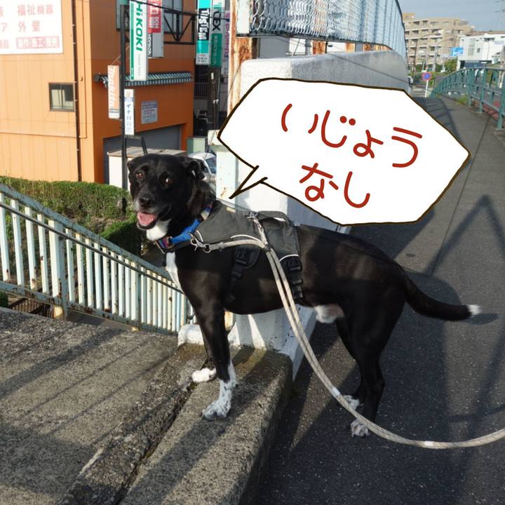 Fe74a0d2 1006 449e 940c 898827eefa89 1660523849196