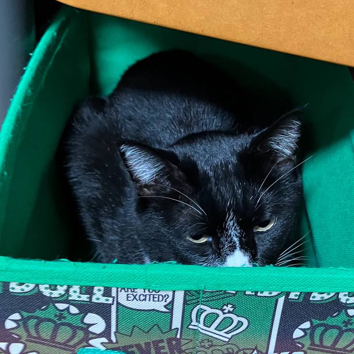 Fe74d24e 0971 45de 9db0 d760e44f78ed 1732858047913