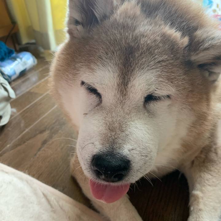 Fe74e127 697b 4c2f ab17 3ed33e7494ae 1621161967042