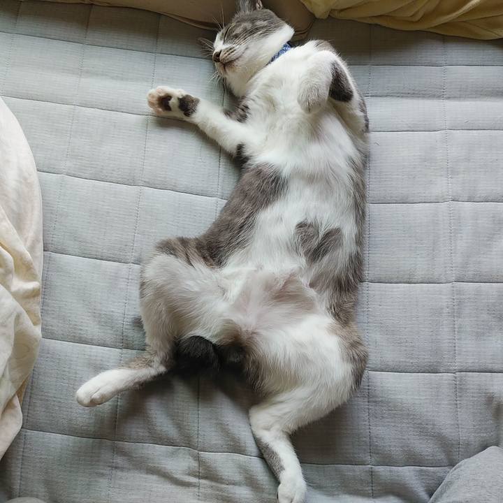 Fe75048c 1240 4f5e 9569 a95c57f1cbbc 1595390821090