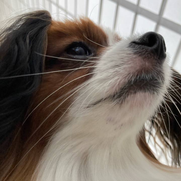 Fe753393 ea5a 48d2 bda8 d7590975848a 1631516733156