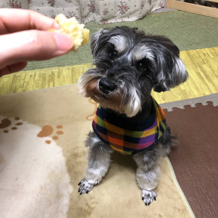 Fe754c3d ea3c 4fa7 8648 94b3e32088d3 1555680746678