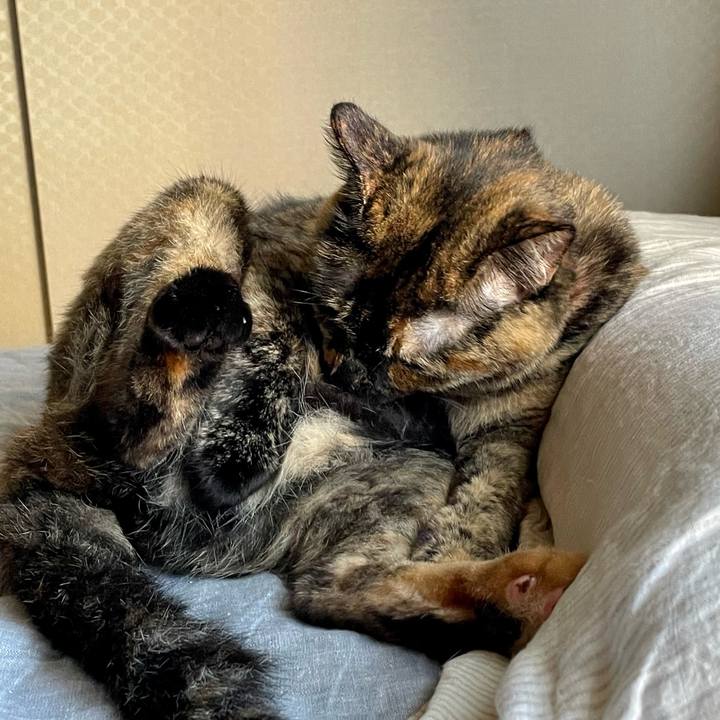 Fe7563f2 0333 4845 9cf0 8eaa3214e19c 1660096534915