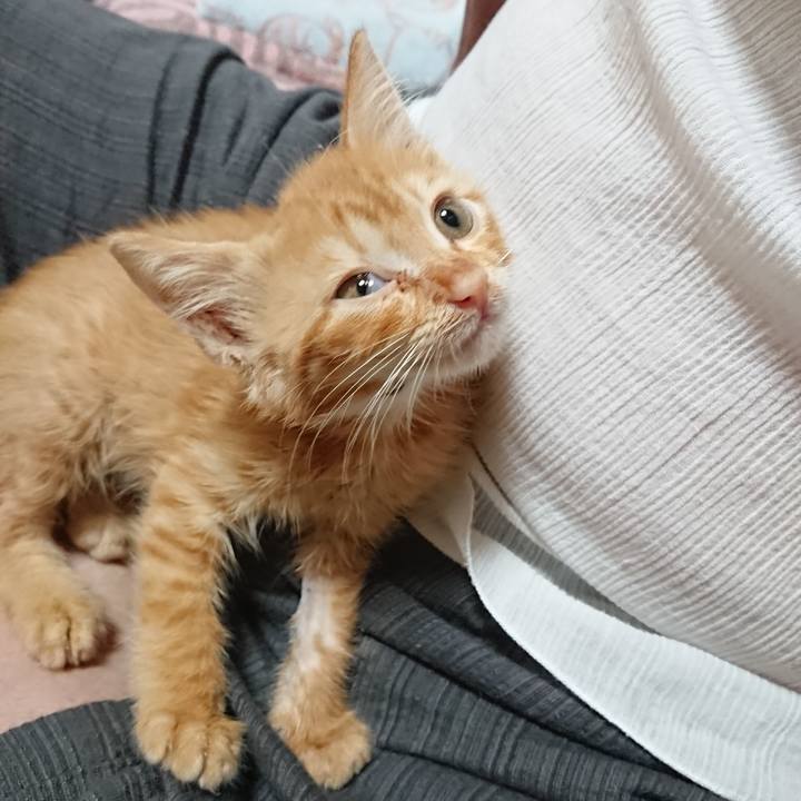 Fe756a0b 36ba 4f87 98bd a24cfe4884b5 1627852155524