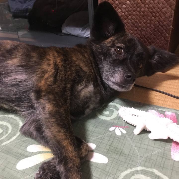 Fe756fe6 96d4 48f2 9df8 520fba7101cb 1514966796788