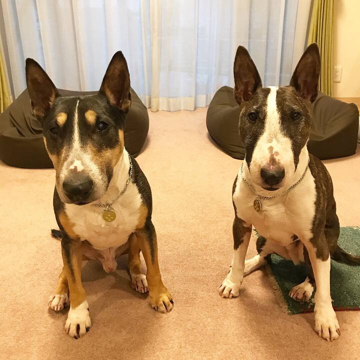 Fe7586a2 6bc6 4ff5 ac22 c5cbc3e454c7 1521191236234