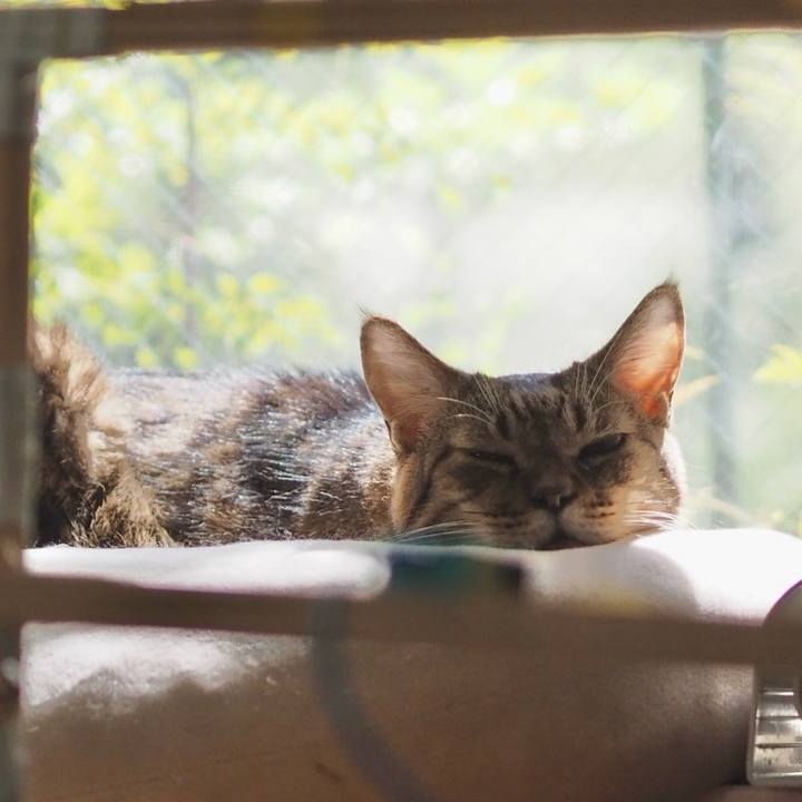 Fe75a56f 144c 4958 8228 d2f84358adf5 1776181657804