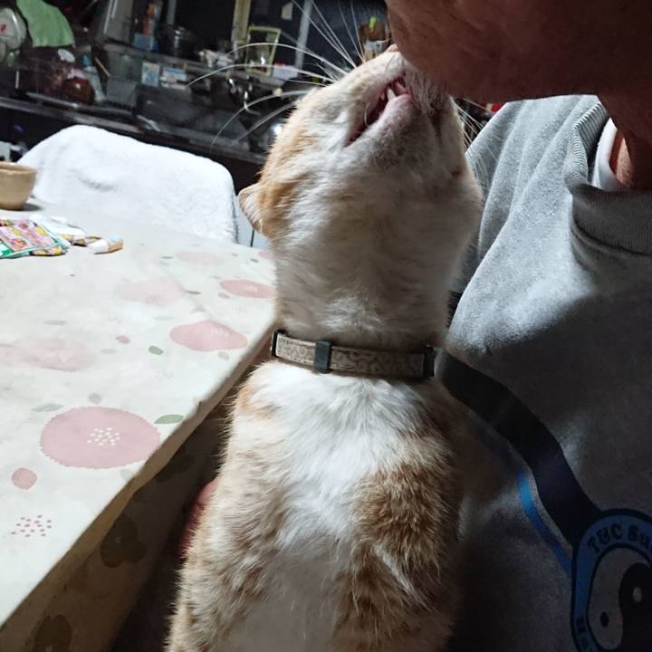 Fe76291b d98b 4475 b068 209a6eb29c83 1591469511804